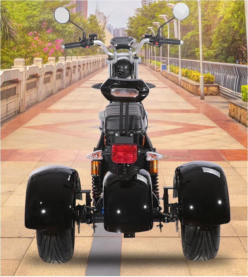 Electric Motorcycle Tricycle 3 Wheels Self-Balancing Handicapped Scooter Outdoor Adult Bicycle Bike for Sale