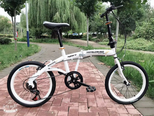 20 Inch Folding Variable Speed Before And After V Brake Men And Women Leisure Sports Children's Adult Student Bicycle