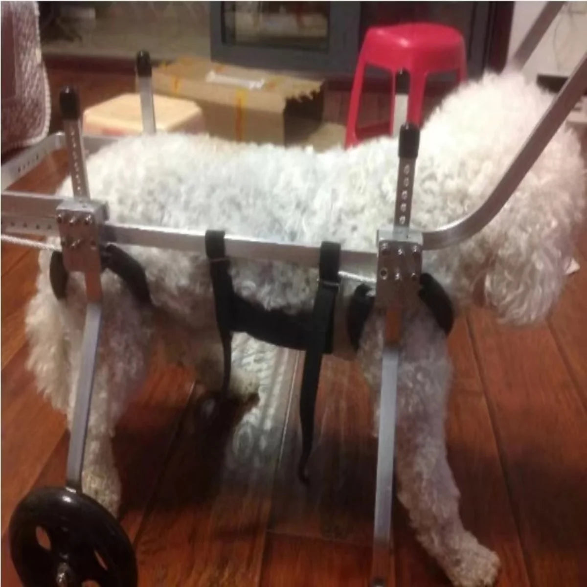 Elderly dog wheelchair forelimb four-wheeled pet hemiplegic dog car front leg disabled car full body quadriplegic dog assistance