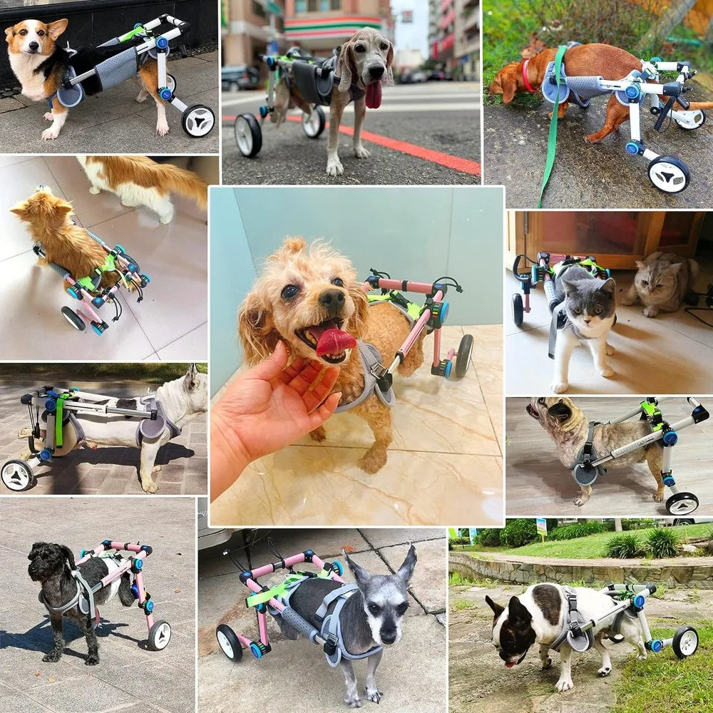 Pet Strollers, Dog Wheelchair,Fordable Dog Wheelchair for Back Legs,Assist Small Pets with Paralyzed Hind,Pet Strollers