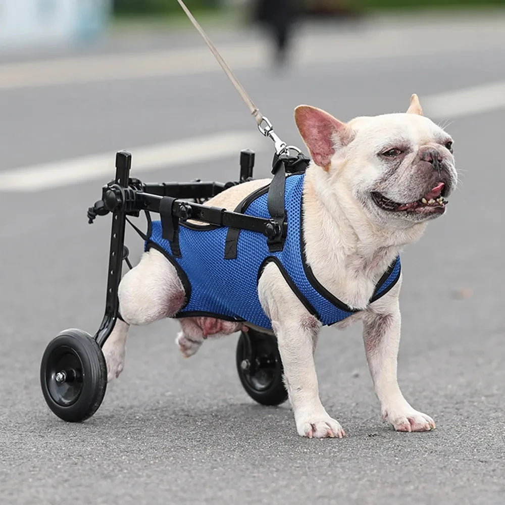 Wheelchair for disabled Dog Cart Hind Legs Bracket Cat Dog Injured And Weak Rehabilitation Aid Car Adjustable Pet Walk Booster