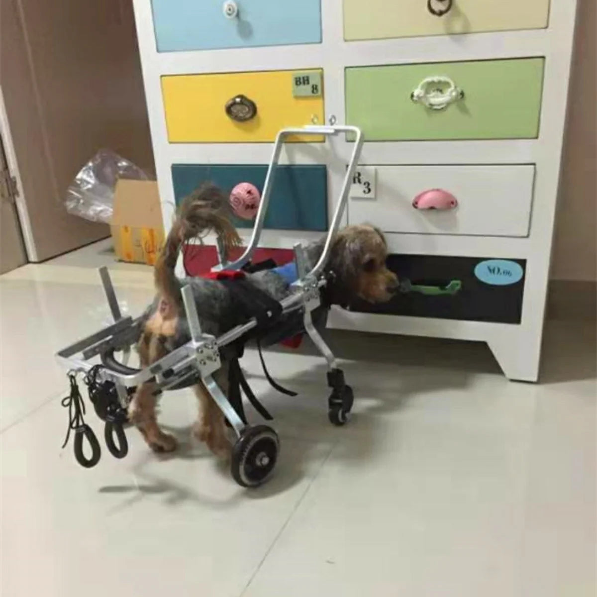 Elderly dog wheelchair forelimb four-wheeled pet hemiplegic dog car front leg disabled car full body quadriplegic dog assistance