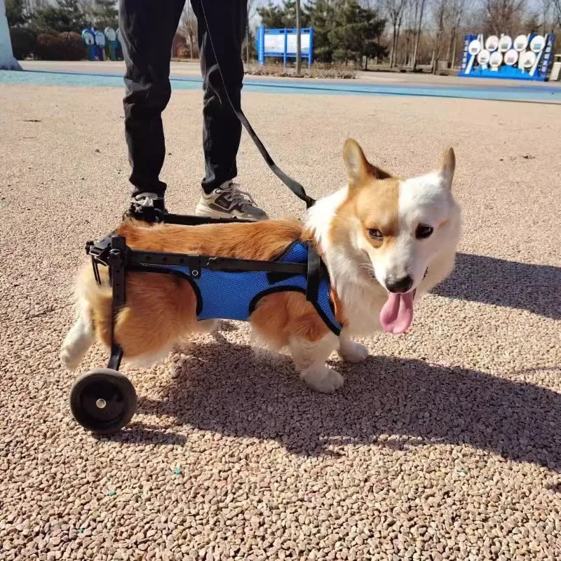 Adjustable Dog Cart Small Pets Wheelchair for Back Legs Rehabilitation Training Aid Trolley  Hip Support Leg Brace