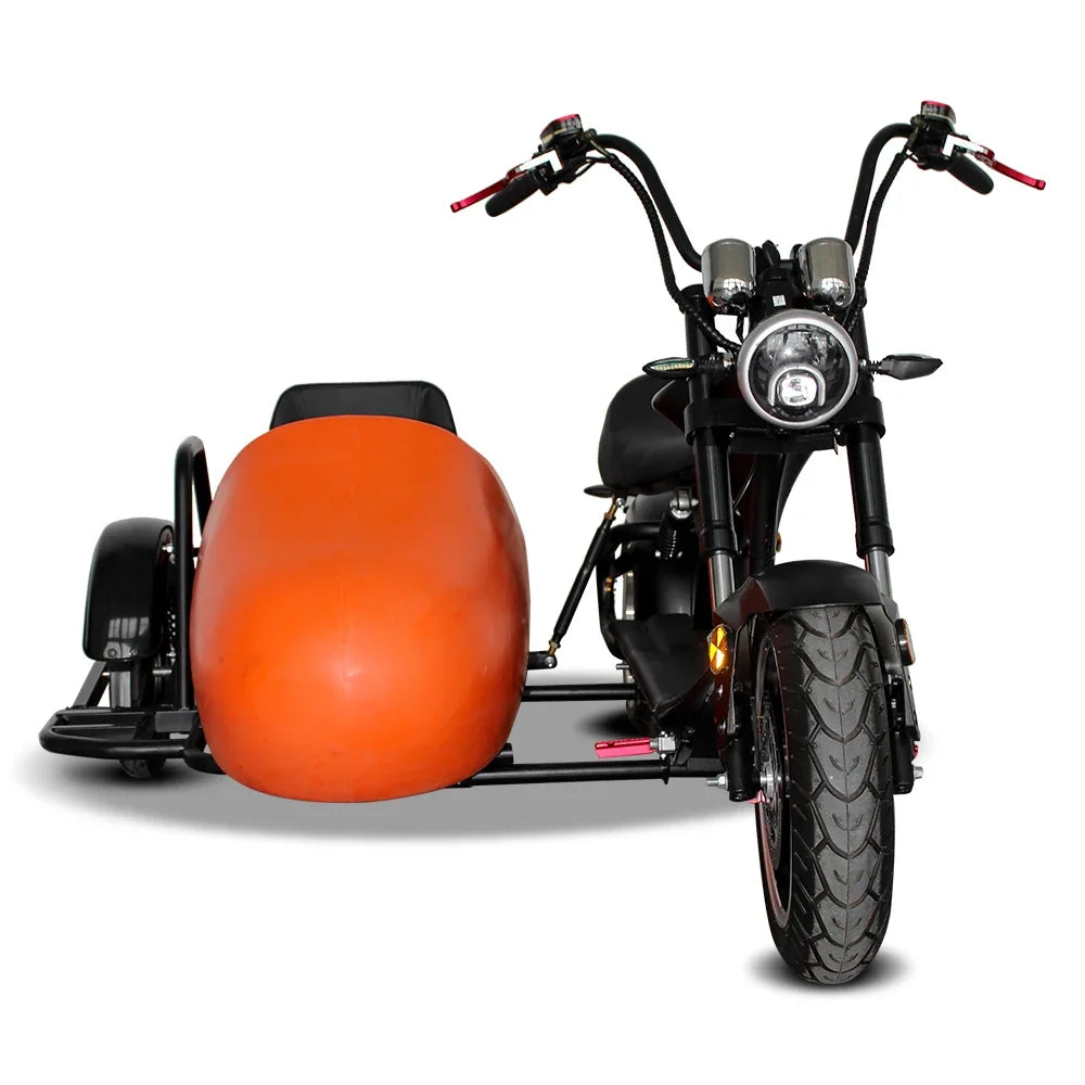 Sidecar electric motorcycles powerful 3000w electric scooters citycoco for adult passenger seat for pet dog