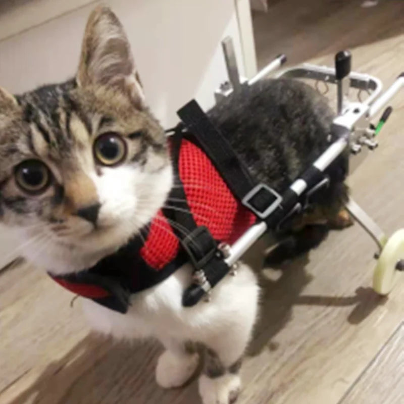 Cat Wheelchair Car Paralyzed Fracture Pet Hind Leg Spine Injury Rehabilitation Training Car Hind Limb Disability Stroller