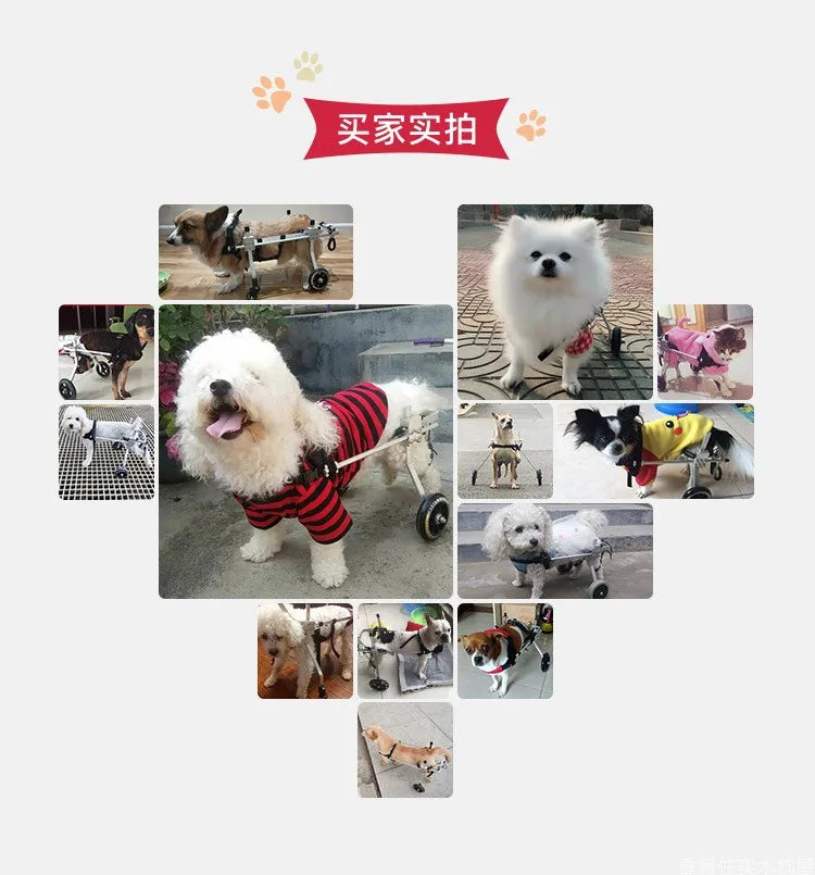 강아지유모차 Small And Medium-sized Dogs Wheelchairs Pets Disabilities Hind Limb Paralysis Rear Leg Assisted Pet Strollers