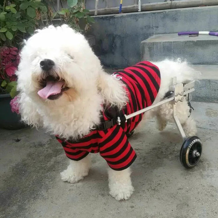 강아지유모차 Small And Medium-sized Dogs Wheelchairs Pets Disabilities Hind Limb Paralysis Rear Leg Assisted Pet Strollers