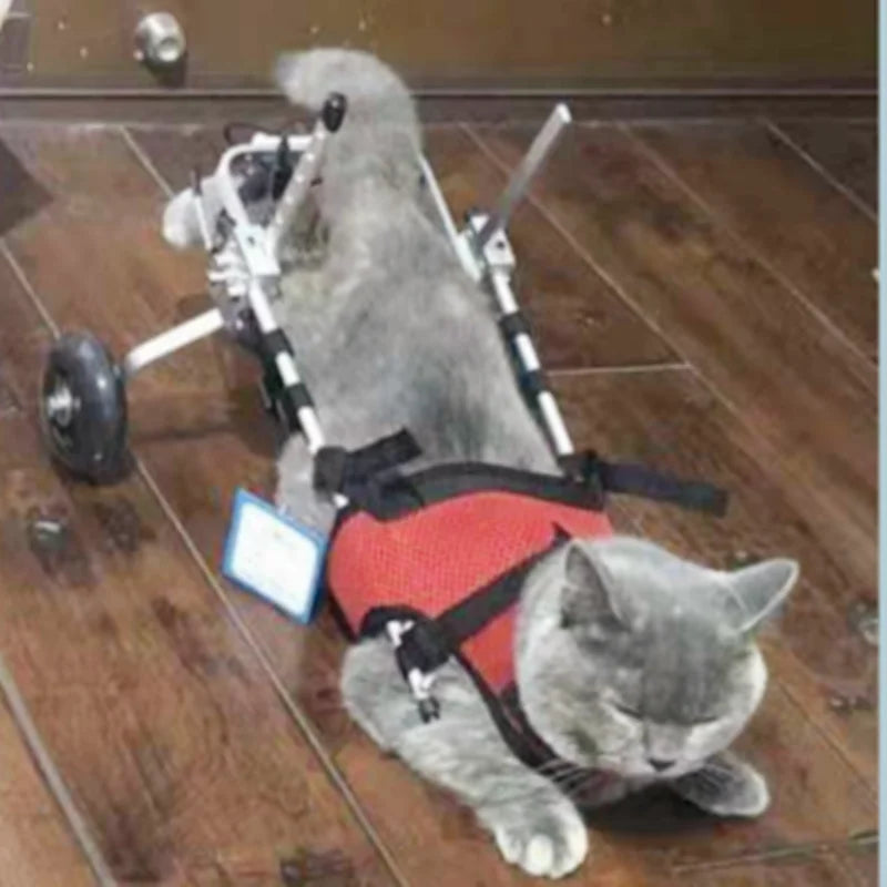 Cat Wheelchair Car Paralyzed Fracture Pet Hind Leg Spine Injury Rehabilitation Training Car Hind Limb Disability Stroller