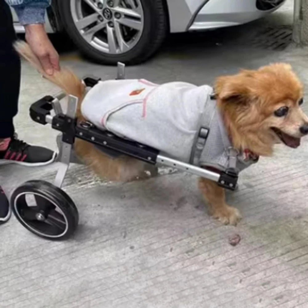 Dog And Cat Hind Leg Wheelchair Adjustable Dog Hind Leg Wheelchair Disabled Pet Walker With Hind Leg Support And Hip Support