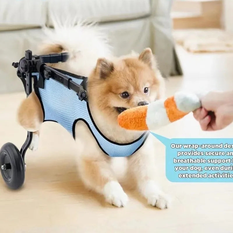 Adjustable Dog Cart Small Pets Wheelchair for Back Legs Rehabilitation Training Aid Trolley  Hip Support Leg Brace