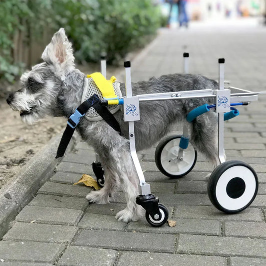 2022 Nordic Four Wheel Space Aluminum Dog Wheelchair Size S/M/L/XL Korea Teddy Limbs Pet Disability Training Rehabilitation Car