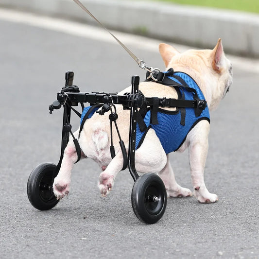 Wheelchair for disabled Dog Cart Hind Legs Bracket Cat Dog Injured And Weak Rehabilitation Aid Car Adjustable Pet Walk Booster